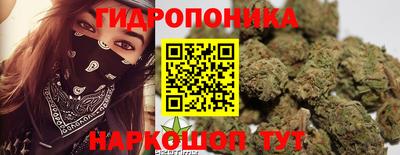 гашик Чапаевск