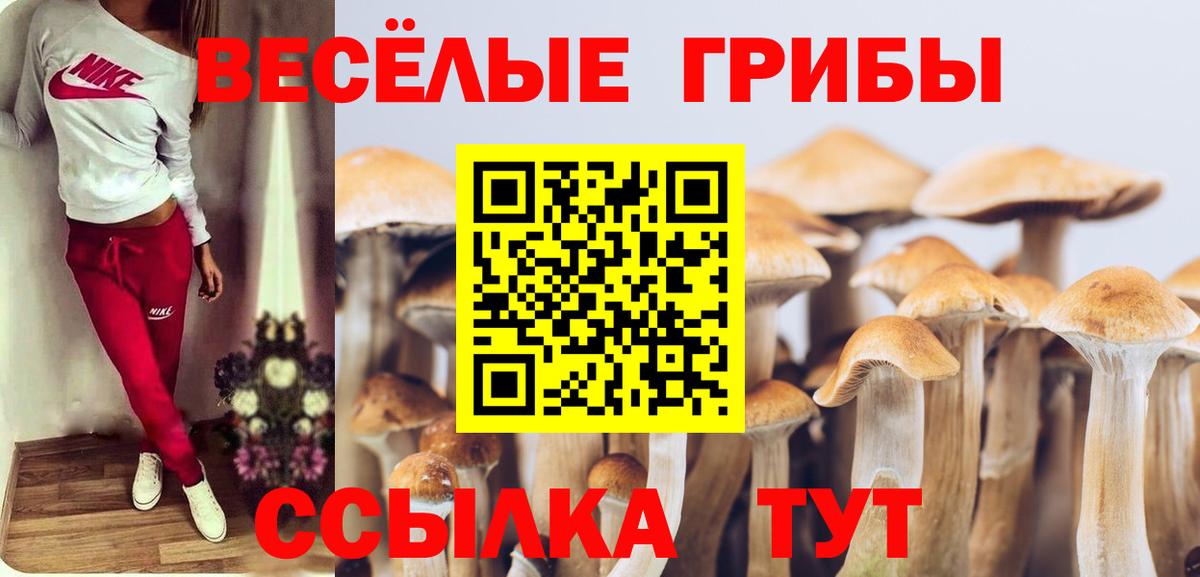 Галлюциногенные грибы Cubensis  Вход с VPN  Мытищи 